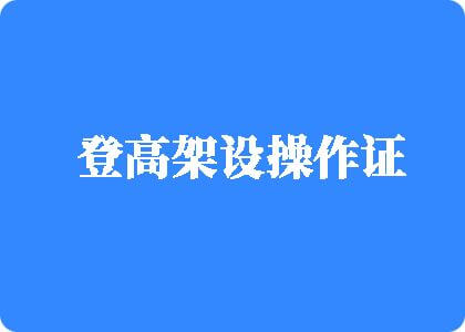 骚逼被操电影网站登高架设操作证